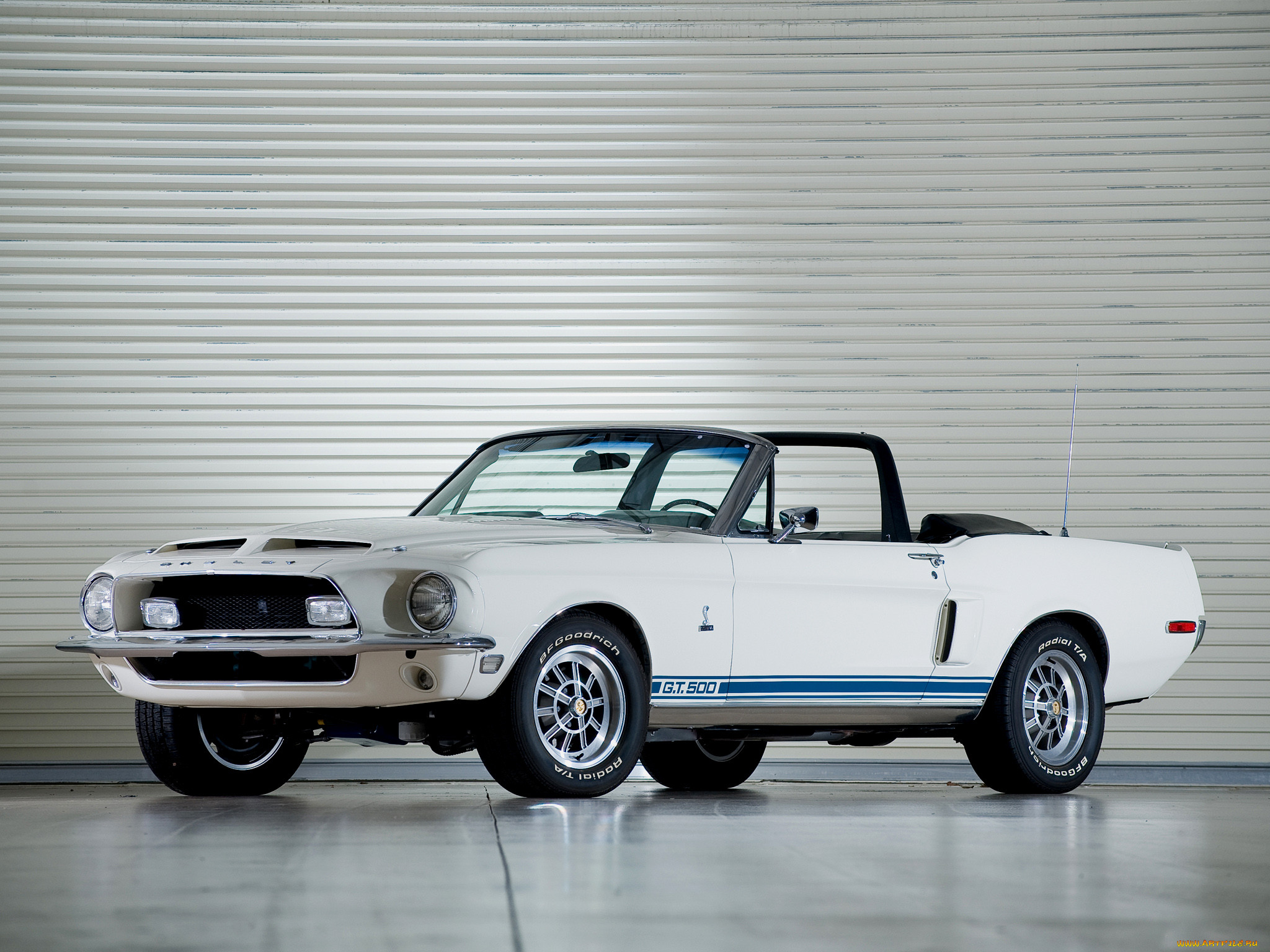 gt500, , mustang
